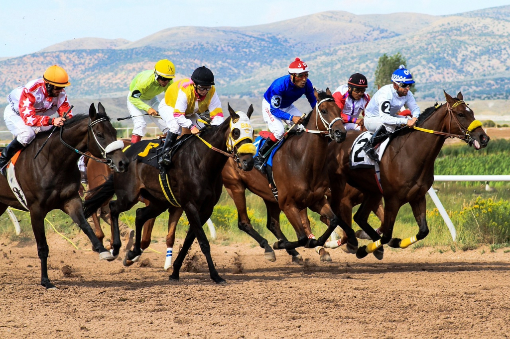 An Intense Horse Race